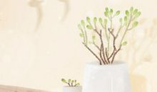 2017年春节，巨蟹座能收到多少红包