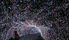 紫微斗数全书论命宫之太阴