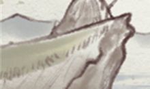 处女男的真实性欲望