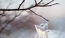 紫微斗数全书之增补太微赋