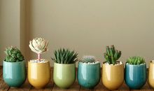 12星座个性强弱排行