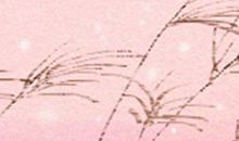 揭秘丈母娘看上天蝎男的什么？