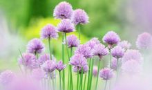 12星座下周运势2013.9.22-9.28