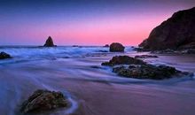 海百合本周星座运势（2012年4月26—2日）