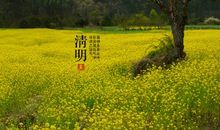 紫微主星清明祭祖的开运物