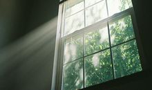 海百合2016年11月星座运势