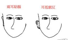 面相分析你的人生会大起大落吗