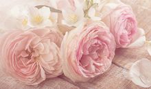 命理分析如何学好八字