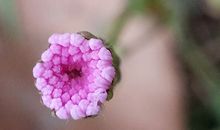 如何通过八字命理的原理来改善人际关系