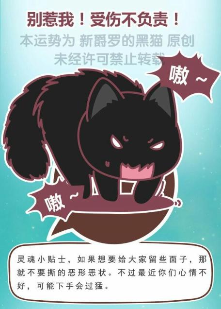 猫石对话每日财富2016年2月26日