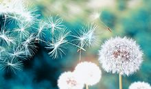 【日运】12星座2020年6月10日运势播报