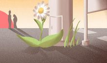 12星座2013年爱情运势—王小亚