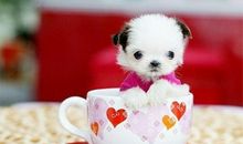 Alex金牛座2018年9月运势