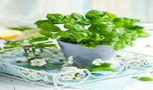 过完年后会转大运的八字