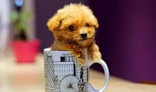 Alex天蝎座2018年9月运势