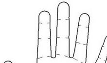 手相图解：智慧线看你多聪明