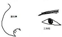 必须小心提防的损友面相