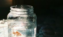 氧气占星2018年1月巨蟹运势