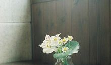 氧气占星2018年1月金牛运势