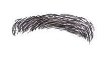 罗汉眉面相分析