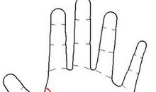 手相图解：智慧线看什么工作适合你