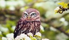 Eskey天蝎座一周运势（8.20-8.26）