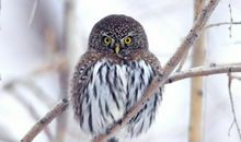 Eskey摩羯座一周运势（8.20-8.26）