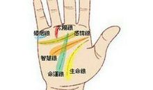 手相给婚姻把把关