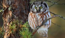 Eskey双鱼座一周运势（8.20-8.26）