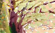 客家传统菜肴：肚包鸡的由来