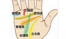 最容易出轨的手相