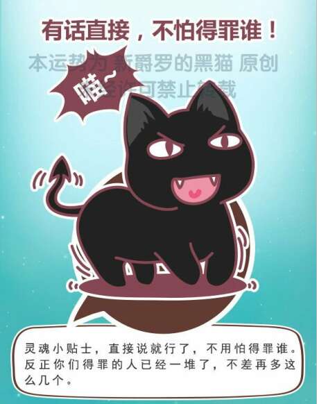 猫石对话每日财富2016年2月11日