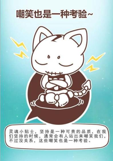 猫石对话每日财富2016年2月6日