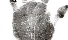 假断掌手相图解：什么是假断掌