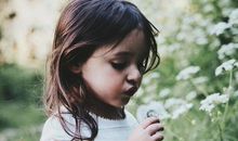 郑博士2019年5月22日生肖运势