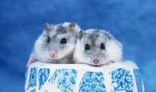 Alex双鱼座2018年9月运势