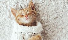 喜神方位查询 2020年7月1日喜神在哪个方位