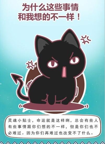 猫石对话每日财富2016年8月27日