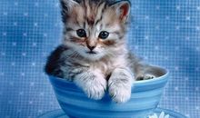 Alex双子座2018年9月运势