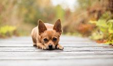 Alex白羊座2018年9月运势