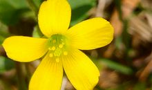 盘点：哪些面相个性傲慢虚荣心强