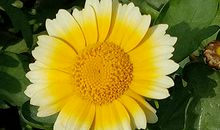 手相看你性格好坏