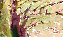 西式畅销快速食品：汉堡的由来