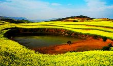 光年塔罗每日星座运势2014年5月23日