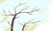 柏木家具风水三大宜忌