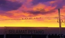 苏珊米勒今日运势2016年9月10日