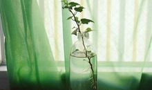 水蓝色眼泪2017年5月金牛座运势