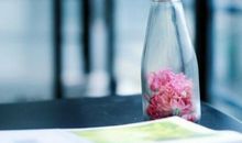 水蓝色眼泪2017年5月双子座运势