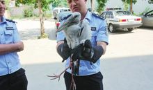 苏飞雅每日运势2013年10月3日