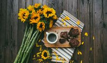 狂月今日运势2019年5月20日